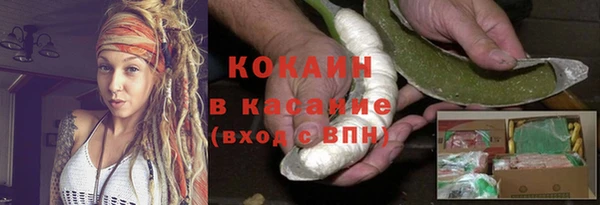 прущий лед Вяземский