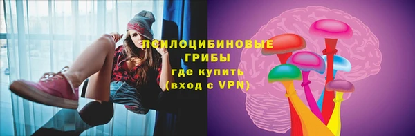 прущий лед Вяземский