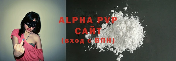 прущий лед Вяземский