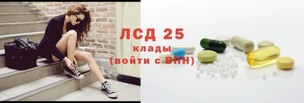 прущий лед Вяземский