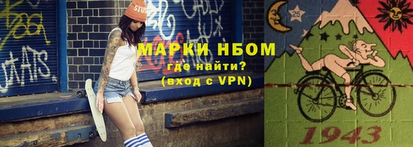 прущий лед Вяземский
