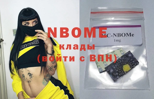 прущий лед Вяземский