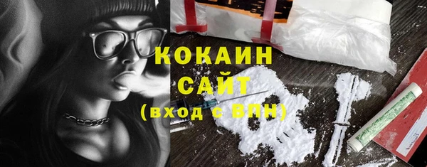 прущий лед Вяземский