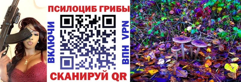нарко площадка состав  Комсомольск-на-Амуре  Галлюциногенные грибы Cubensis  где можно купить наркотик 